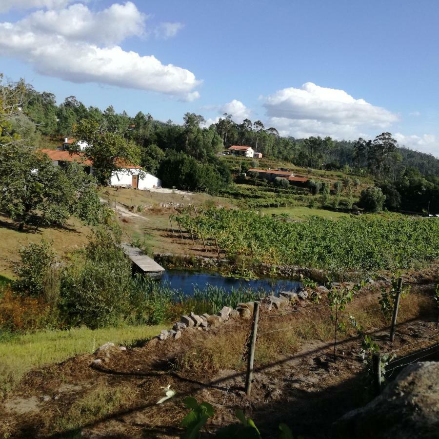 شقة Casa Na Quinta De Valinhas Vitorino dos Piães المظهر الخارجي الصورة